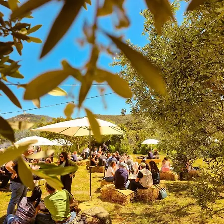 Campingplads Le Piane Agriglamping Portoferraio
