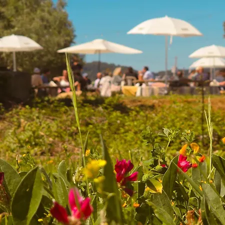 Le Piane Agriglamping