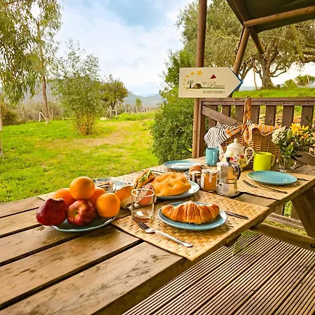 Le Piane Agriglamping Campingplads *