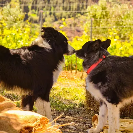 Le Piane Agriglamping Portoferraio