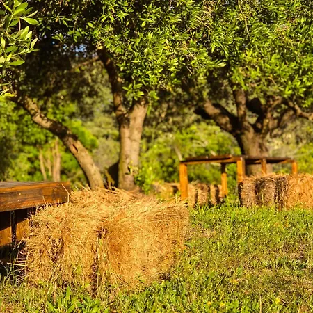 Le Piane Agriglamping Campingplads Portoferraio