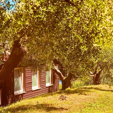 Le Piane Agriglamping *
