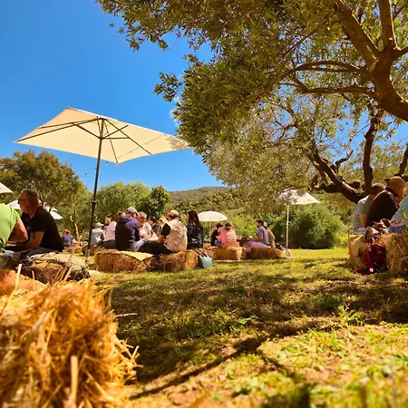 Le Piane Agriglamping Campingplads *