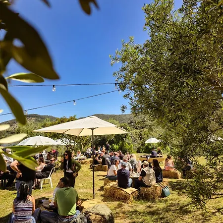 Le Piane Agriglamping Campingplads *