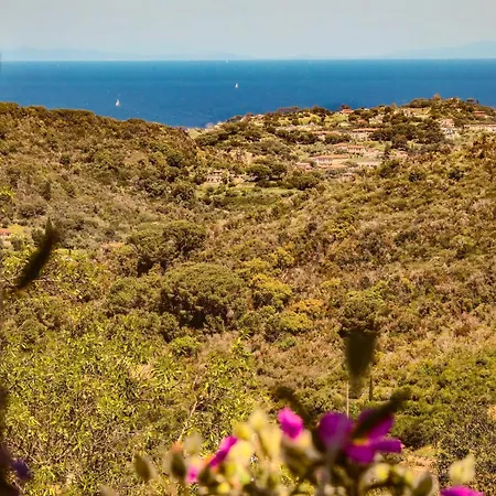 Campingplads Le Piane Agriglamping Portoferraio