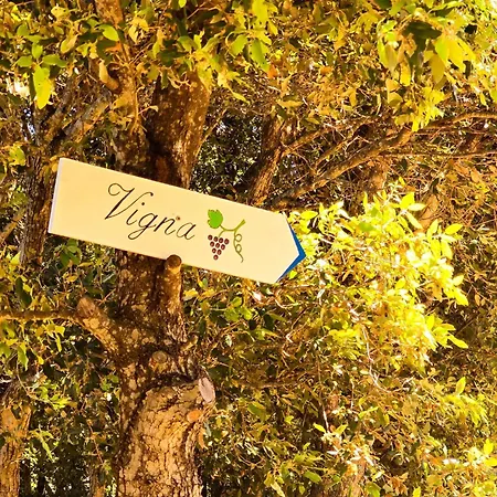 Le Piane Agriglamping * Portoferraio