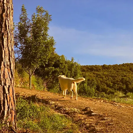 Le Piane Agriglamping Portoferraio