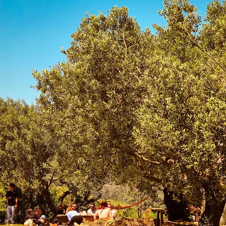 Le Piane Agriglamping *