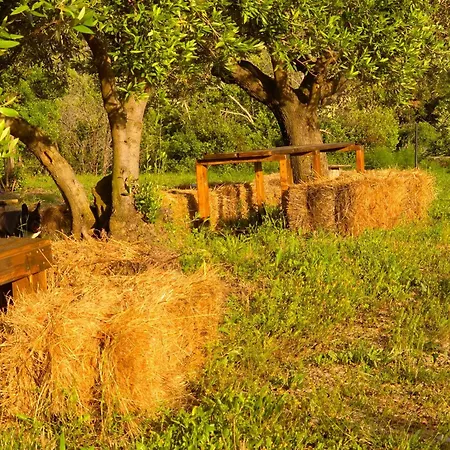 Campingplads Le Piane Agriglamping *