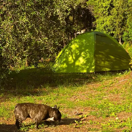 Campingplads Le Piane Agriglamping